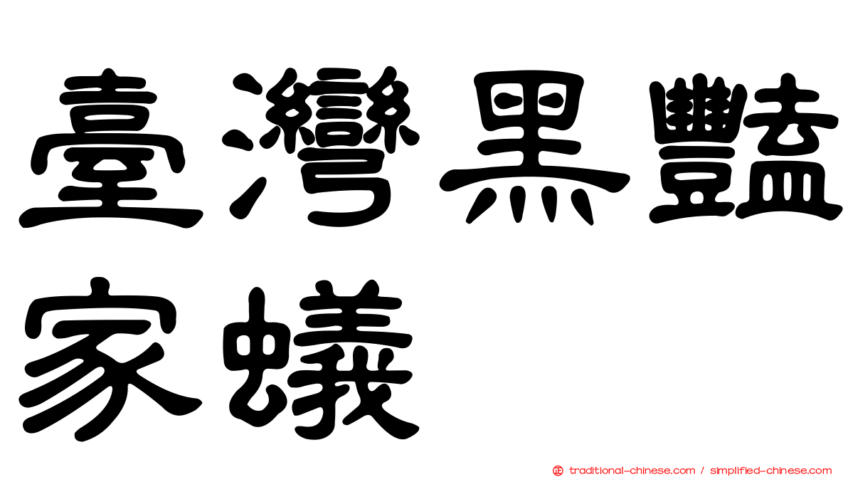 臺灣黑豔家蟻