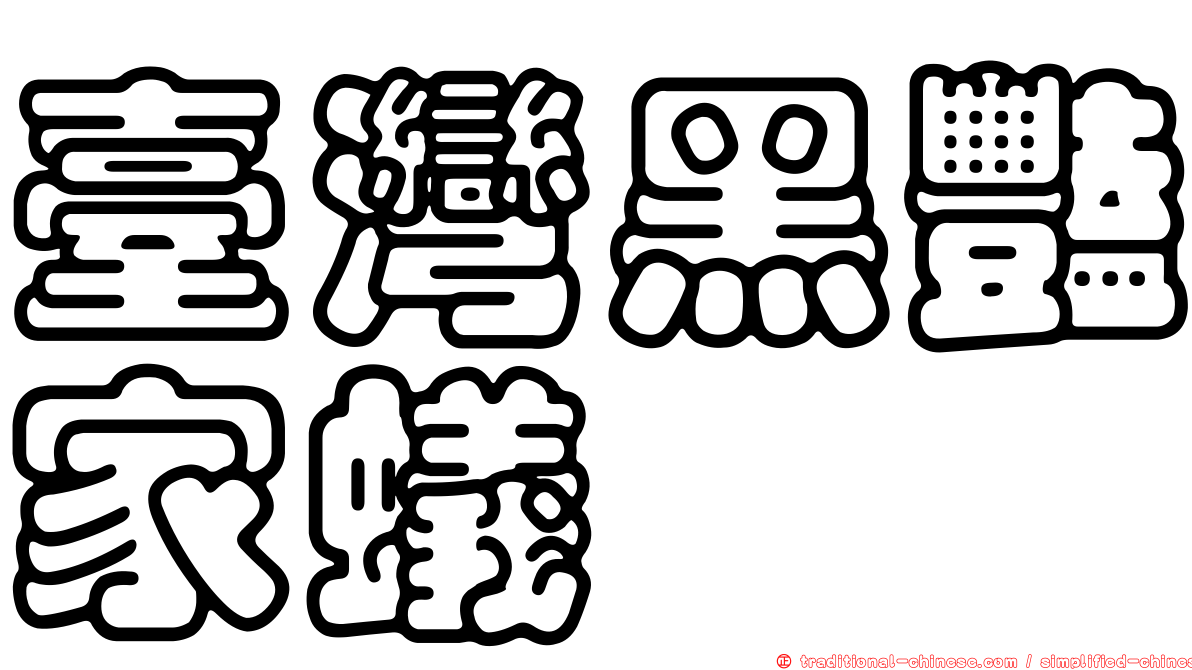 臺灣黑豔家蟻
