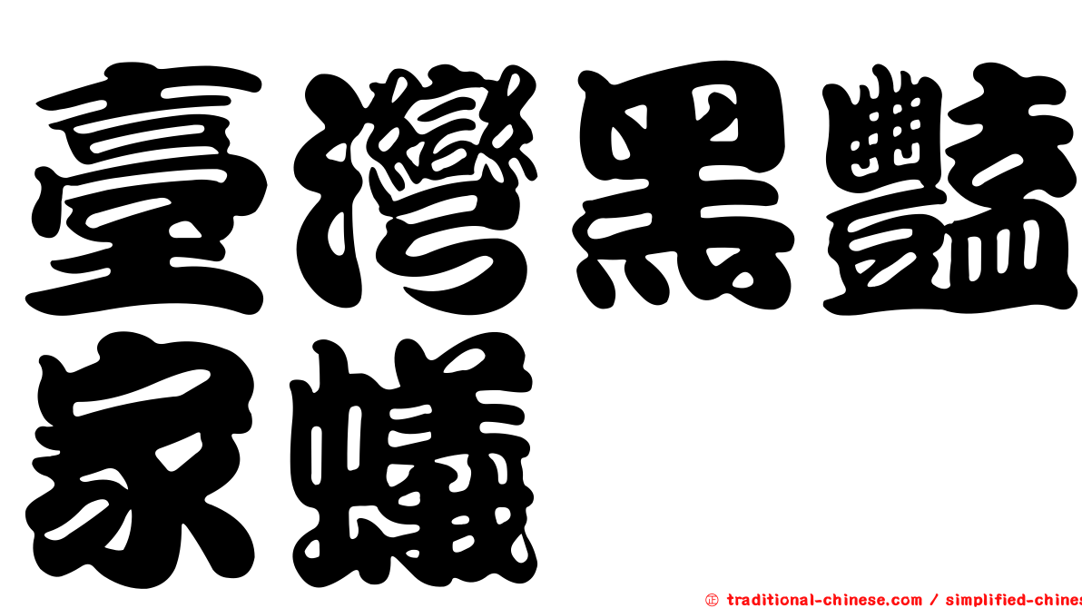 臺灣黑豔家蟻