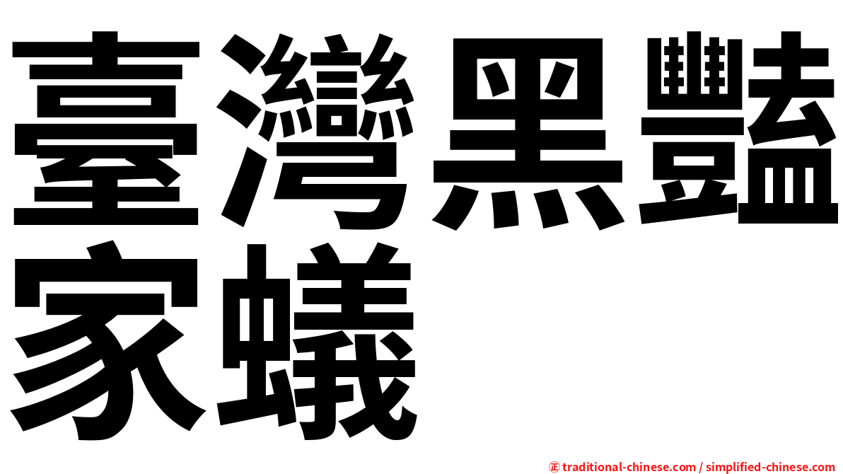 臺灣黑豔家蟻