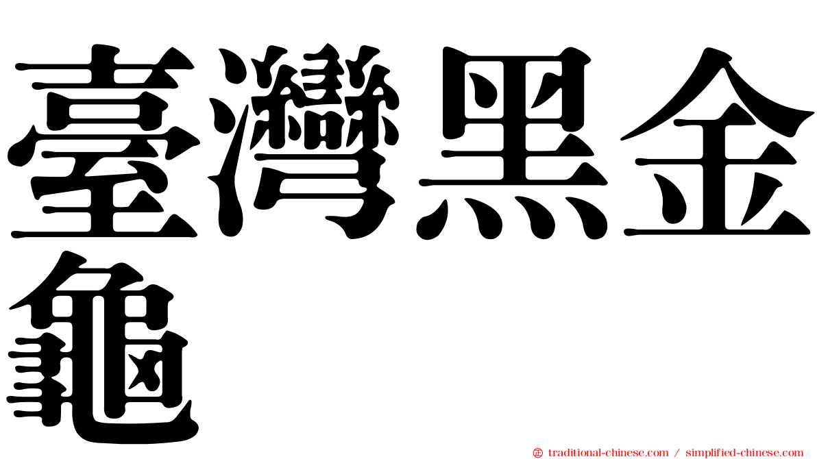 臺灣黑金龜