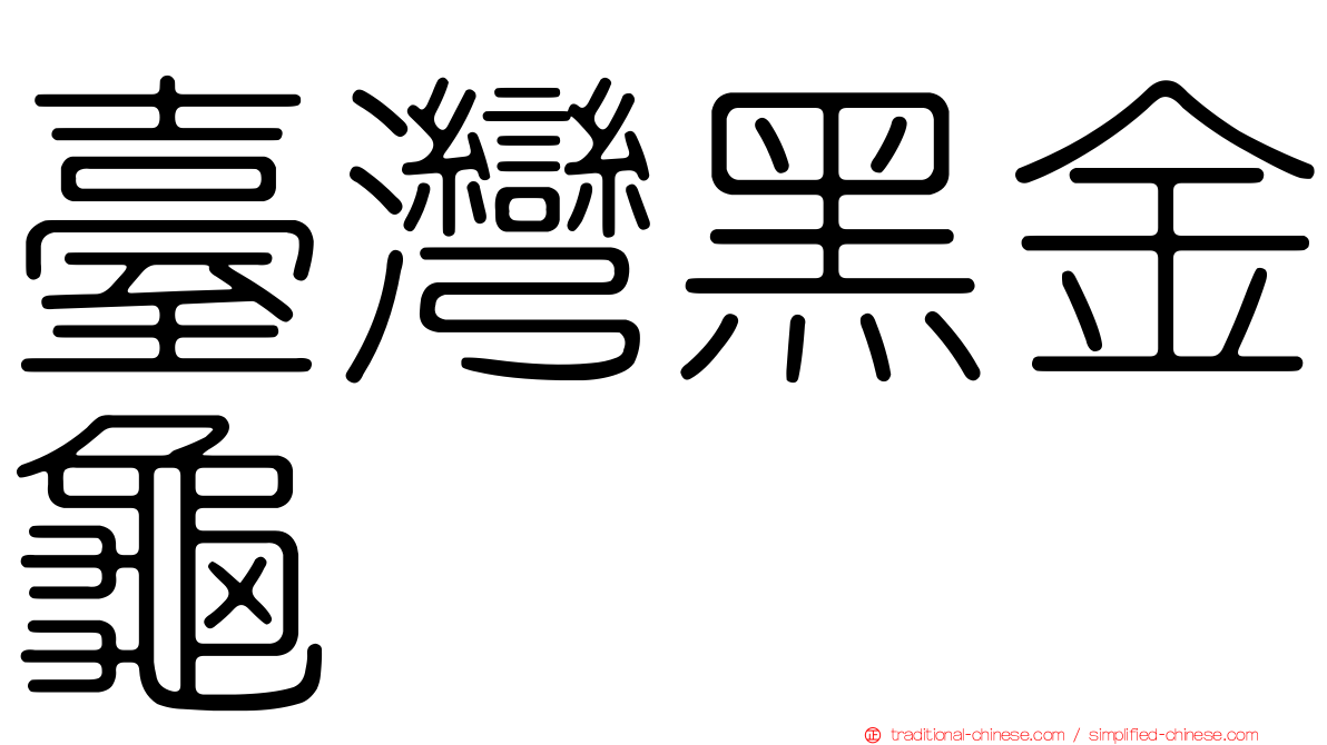 臺灣黑金龜