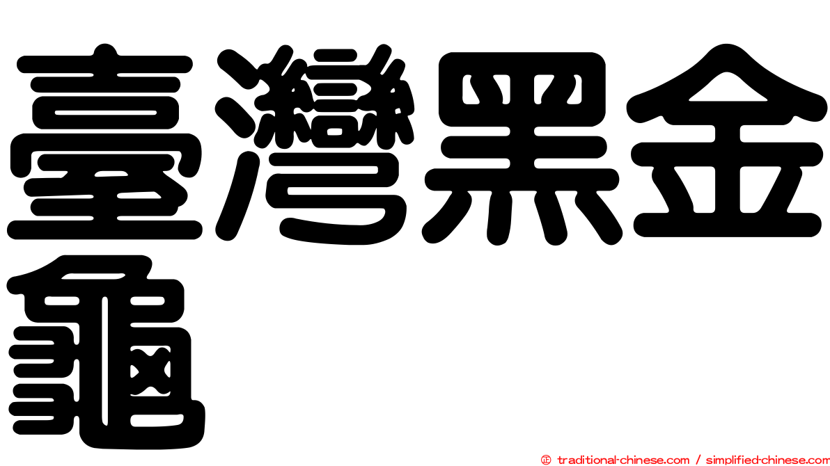 臺灣黑金龜