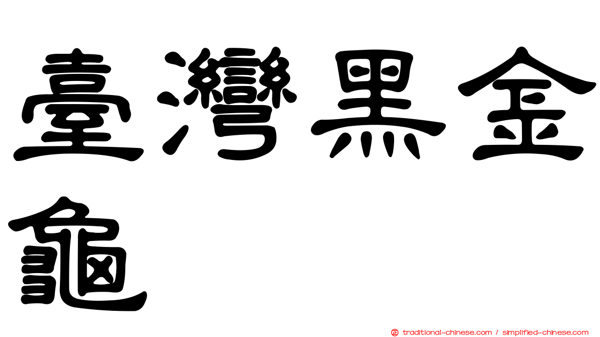 臺灣黑金龜
