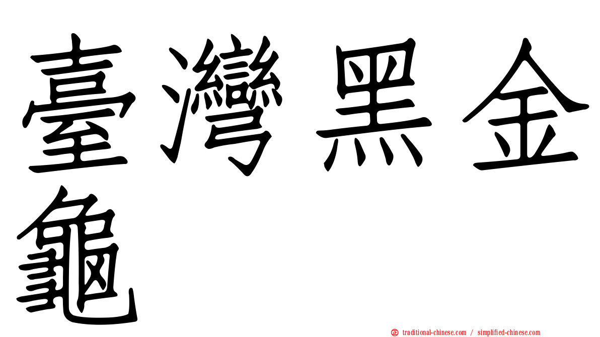 臺灣黑金龜