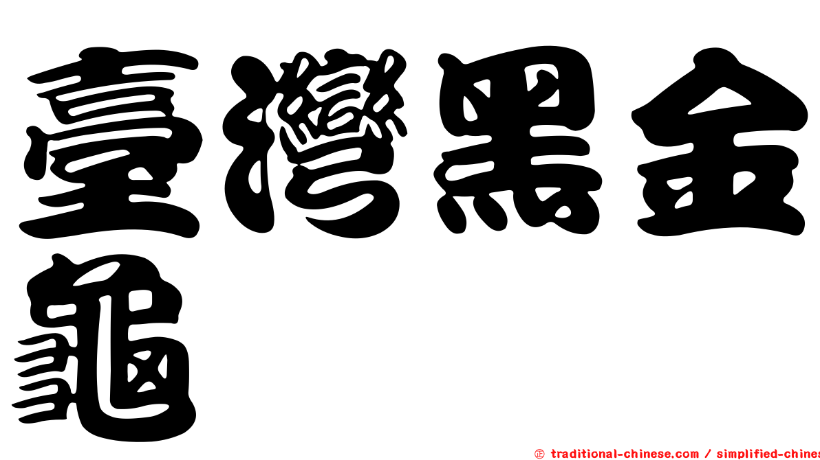 臺灣黑金龜