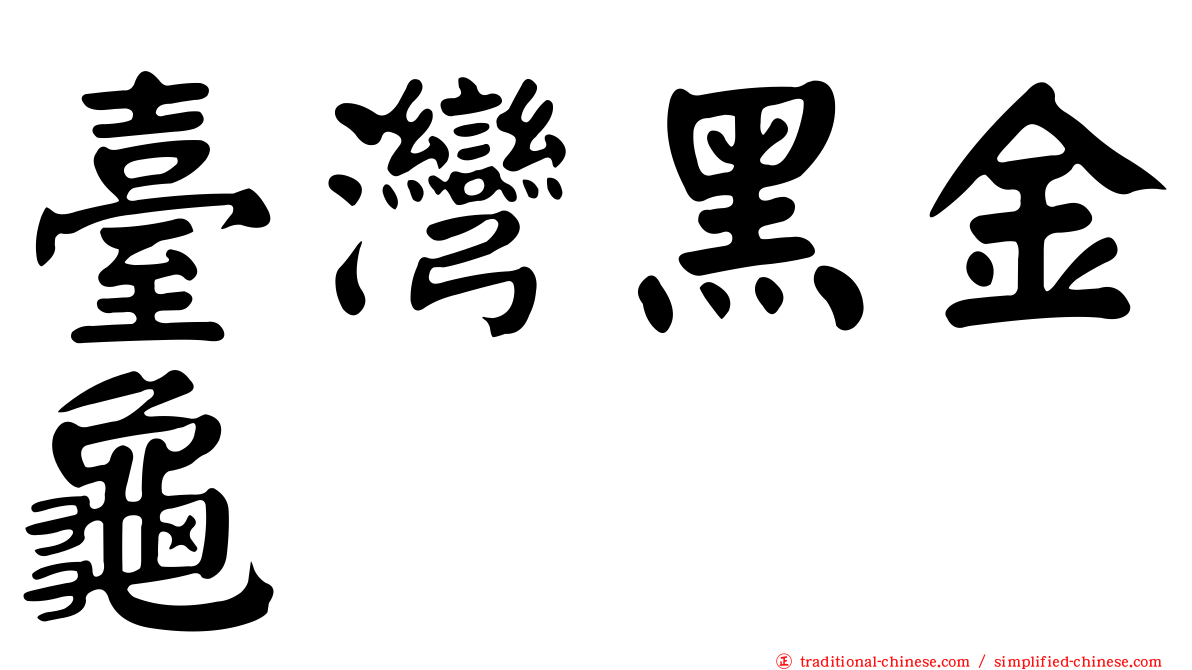 臺灣黑金龜