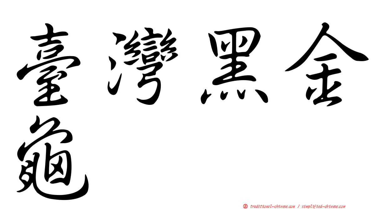 臺灣黑金龜