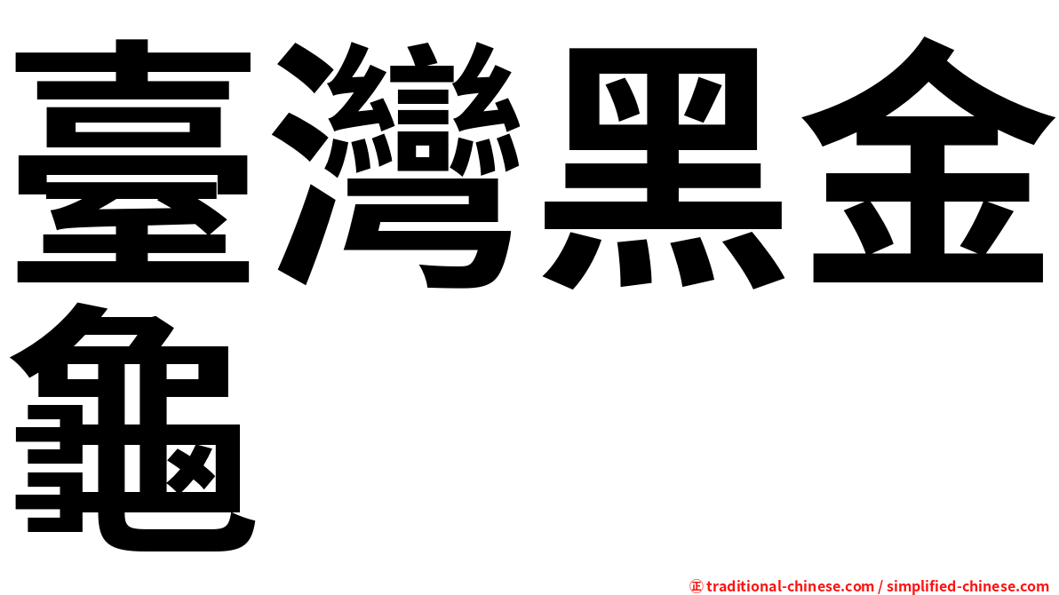 臺灣黑金龜