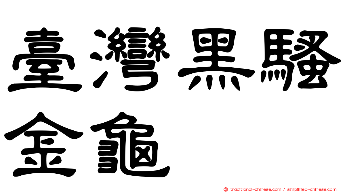 臺灣黑騷金龜