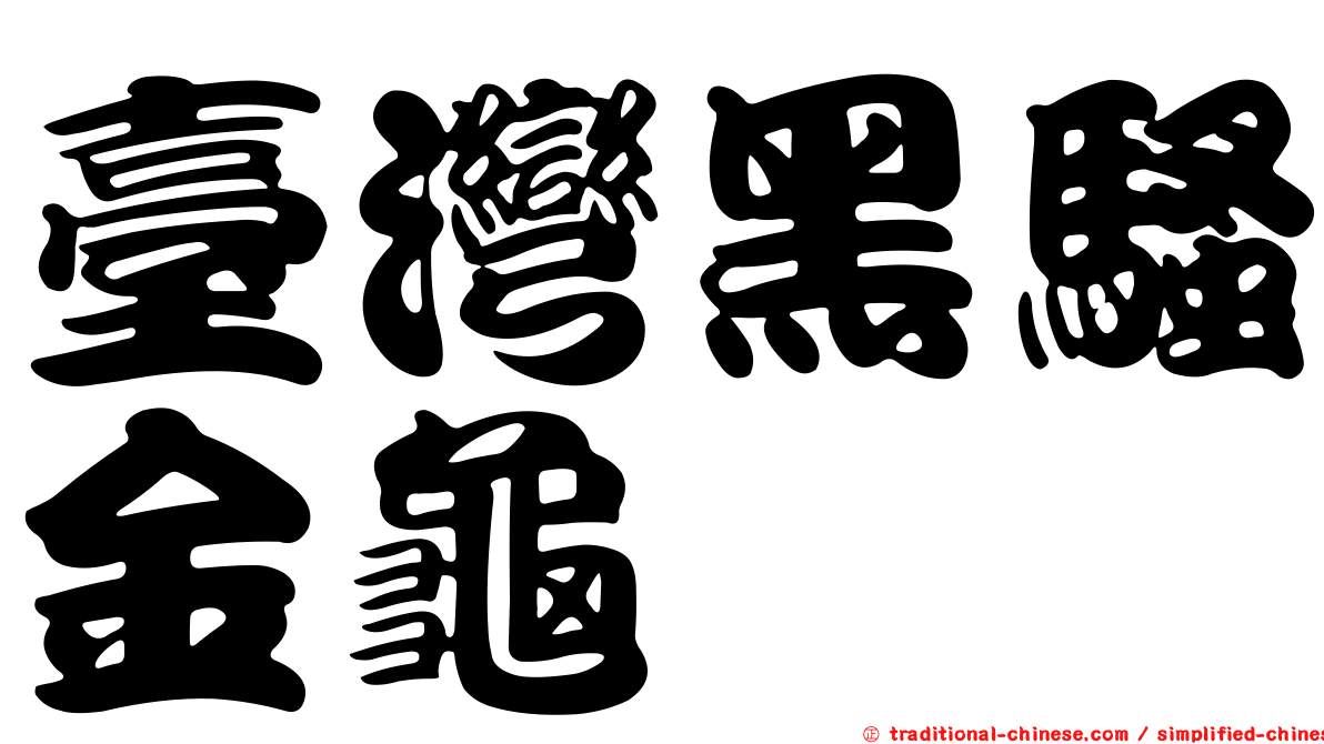 臺灣黑騷金龜