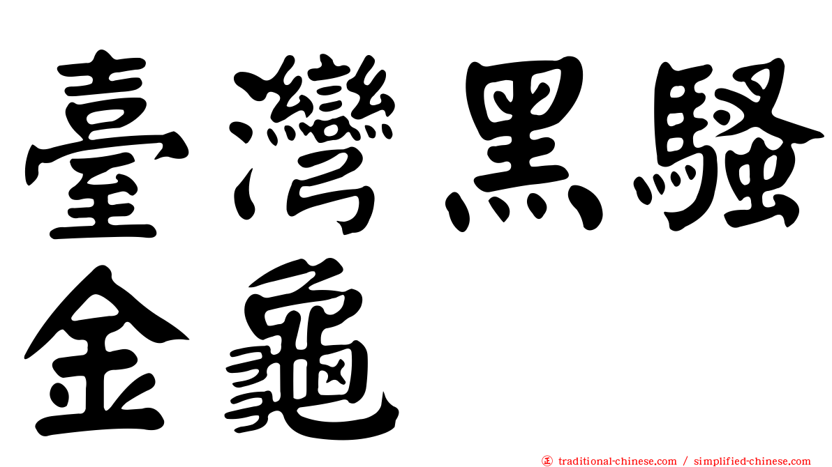 臺灣黑騷金龜