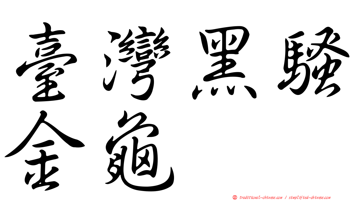 臺灣黑騷金龜