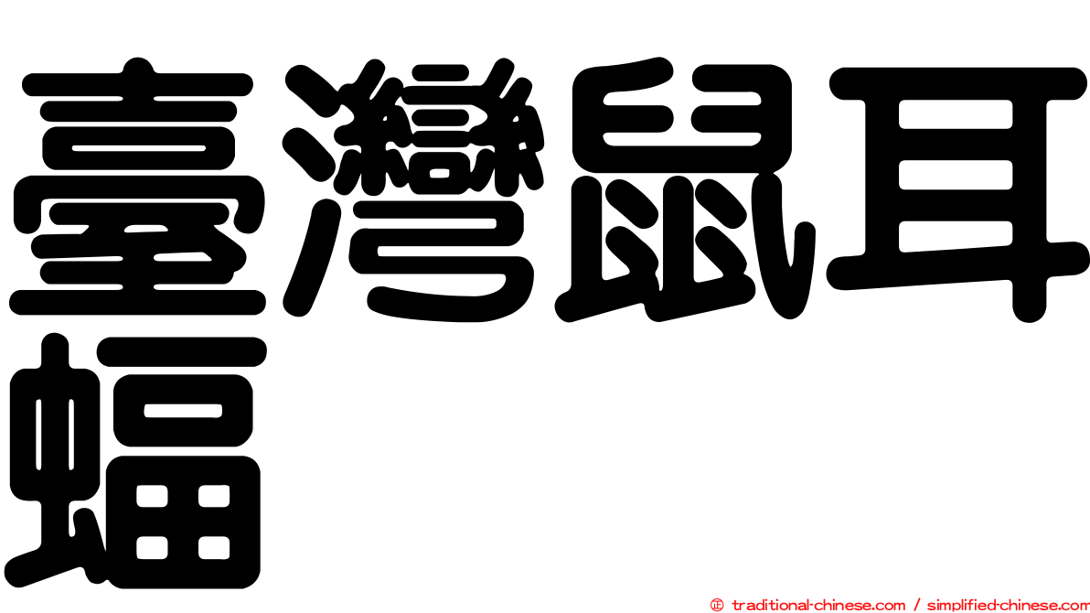 臺灣鼠耳蝠