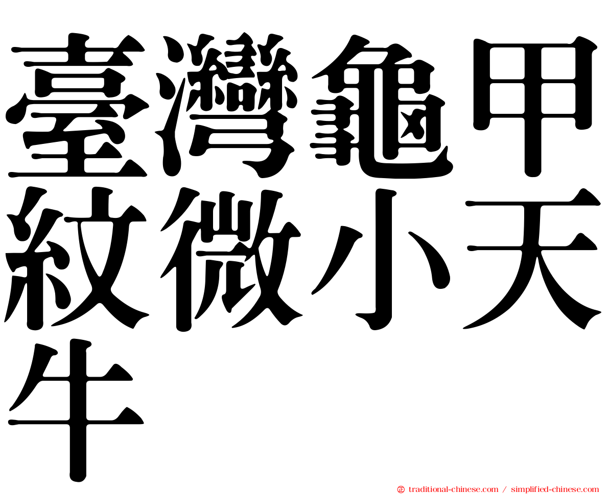 臺灣龜甲紋微小天牛
