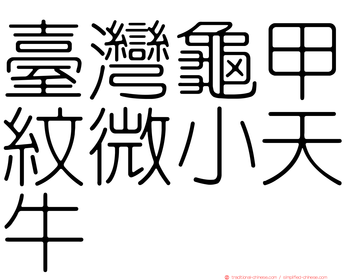 臺灣龜甲紋微小天牛