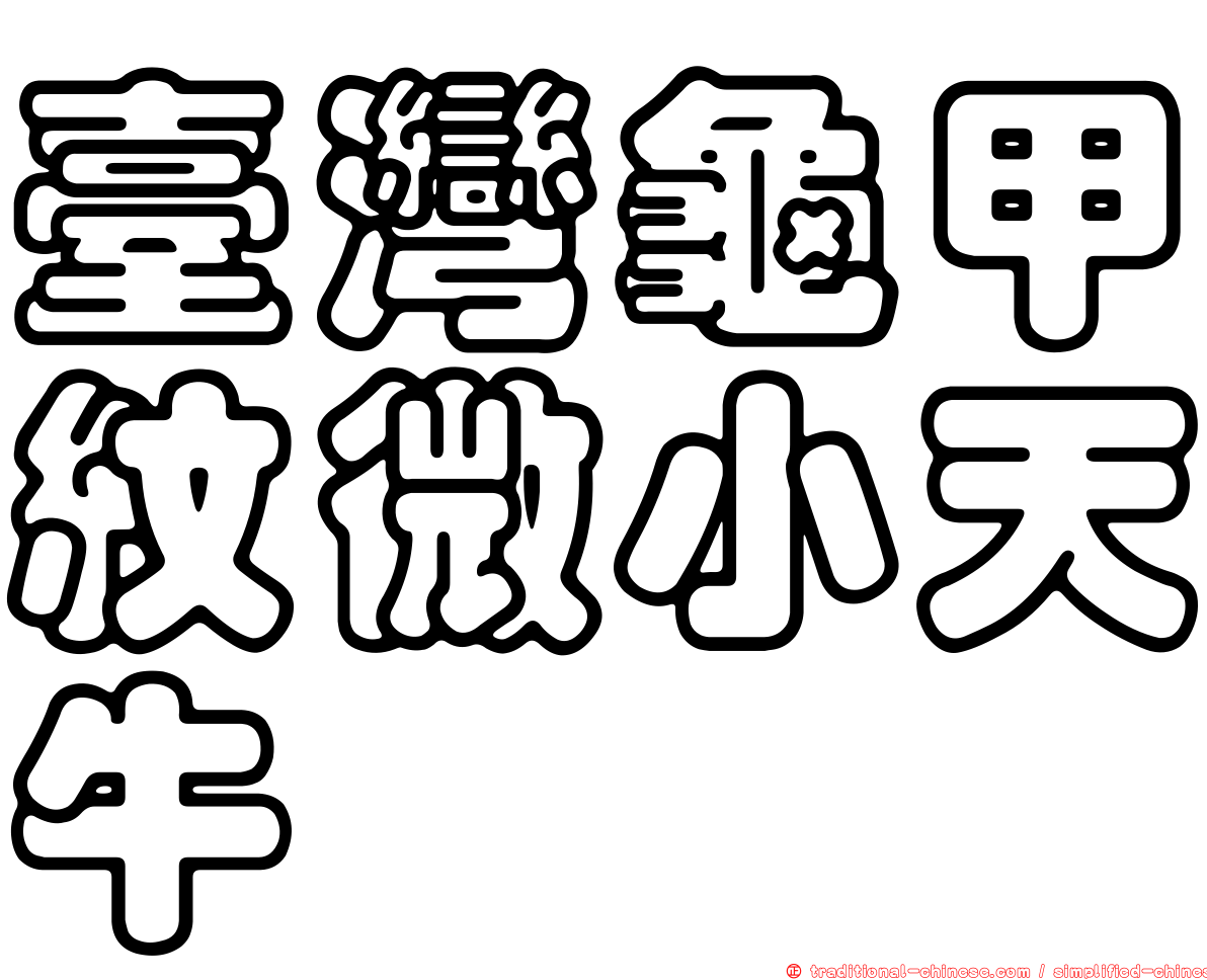 臺灣龜甲紋微小天牛