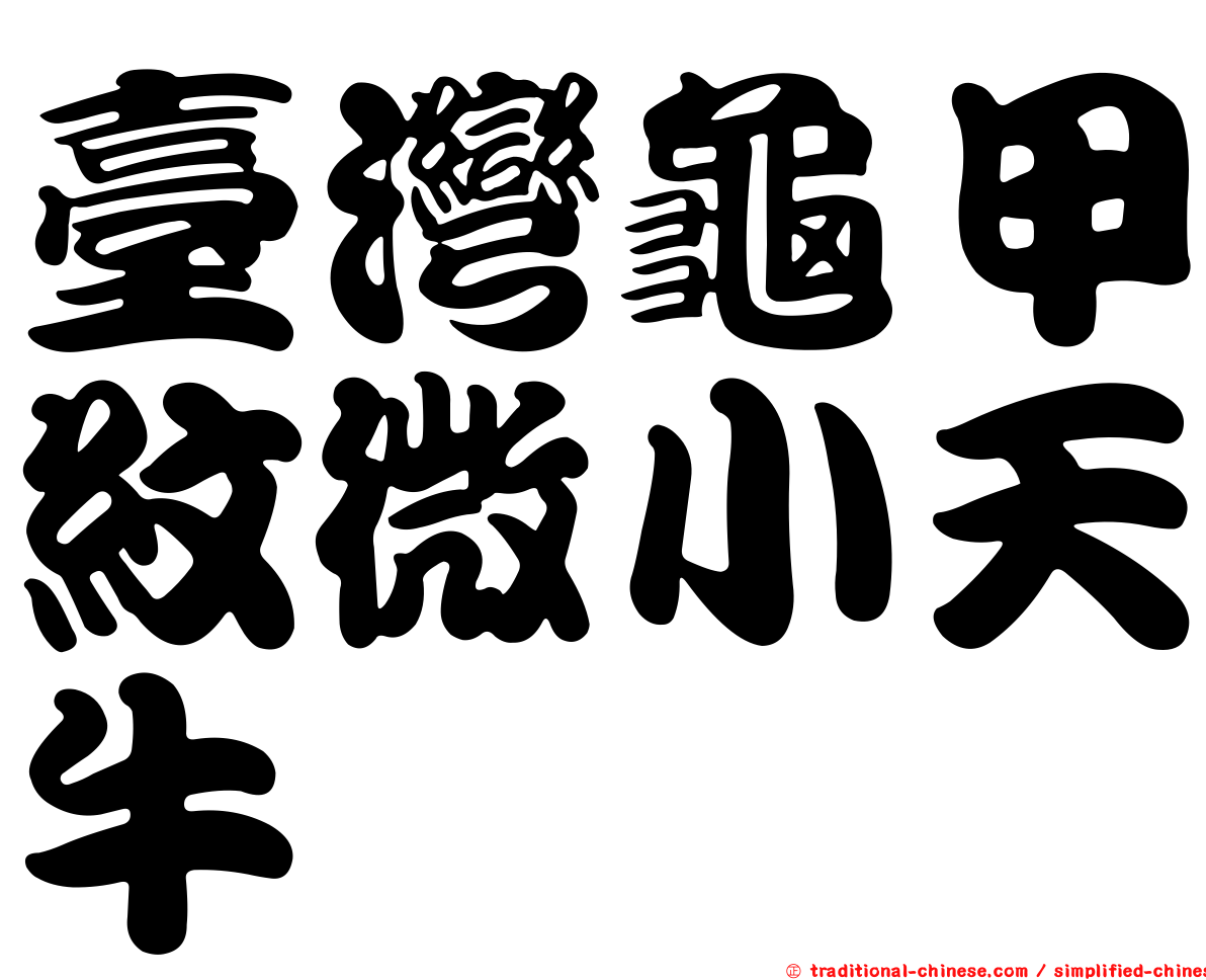 臺灣龜甲紋微小天牛