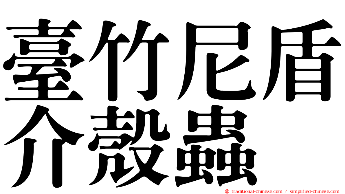 臺竹尼盾介殼蟲