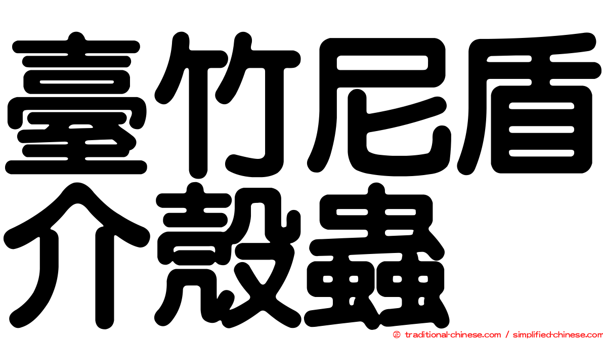 臺竹尼盾介殼蟲