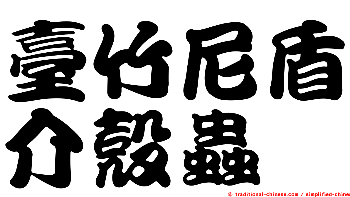 臺竹尼盾介殼蟲