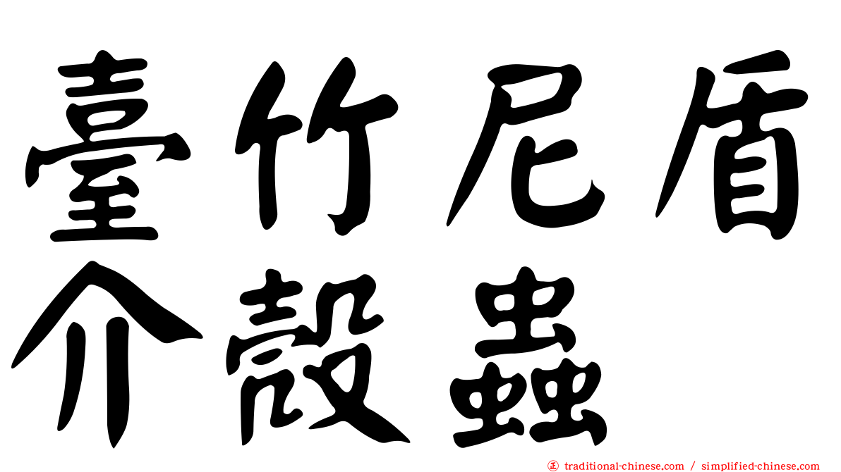 臺竹尼盾介殼蟲
