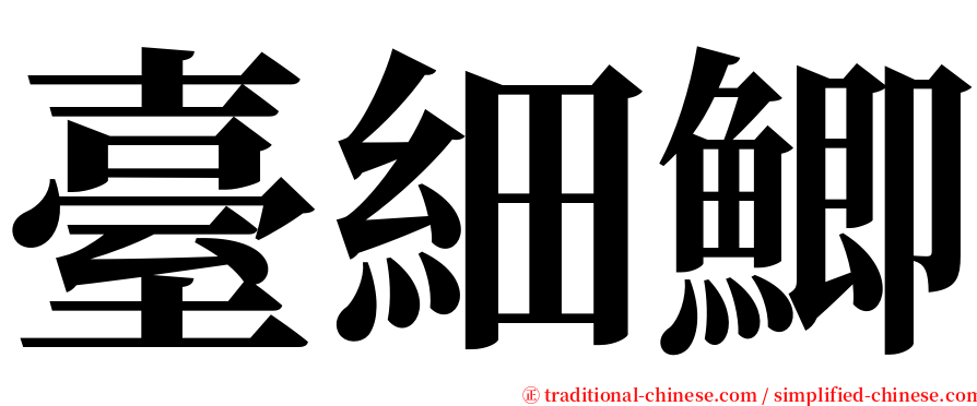 臺細鯽 serif font