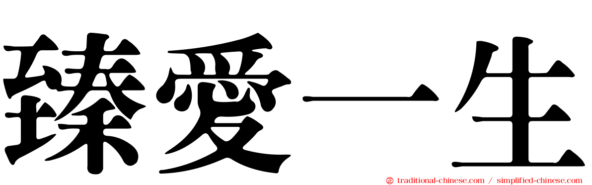 臻愛一生