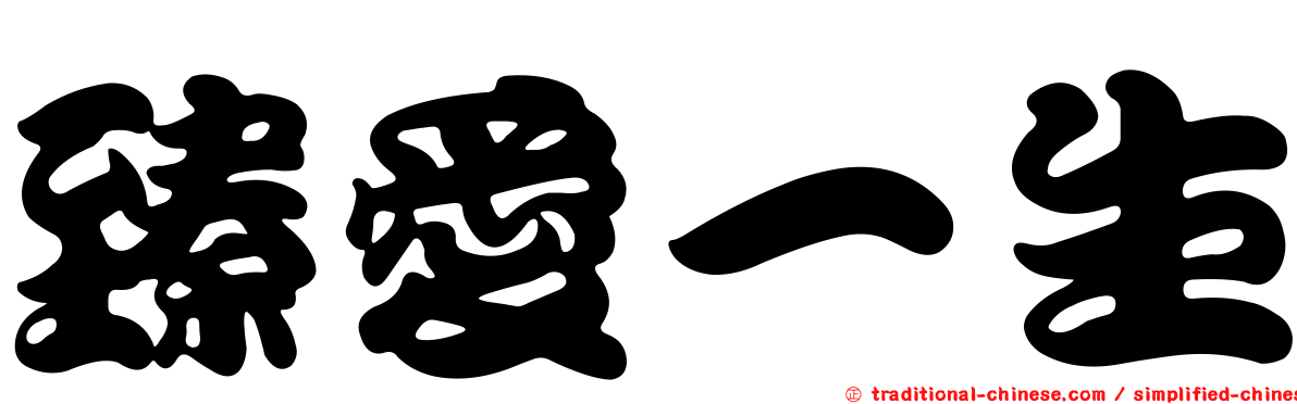 臻愛一生