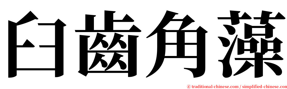 臼齒角藻 serif font