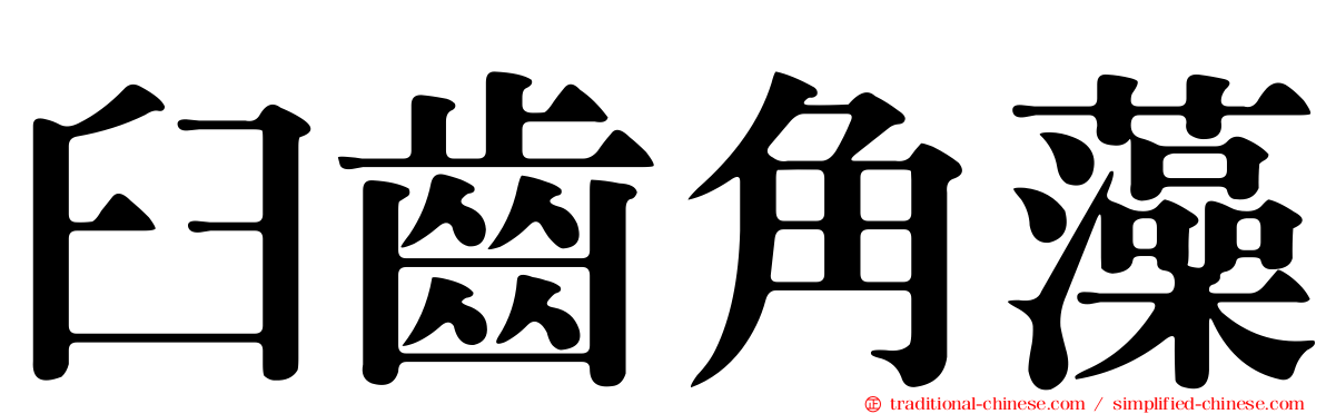 臼齒角藻