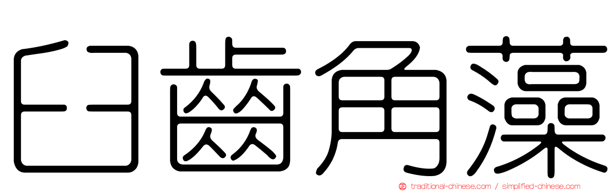 臼齒角藻
