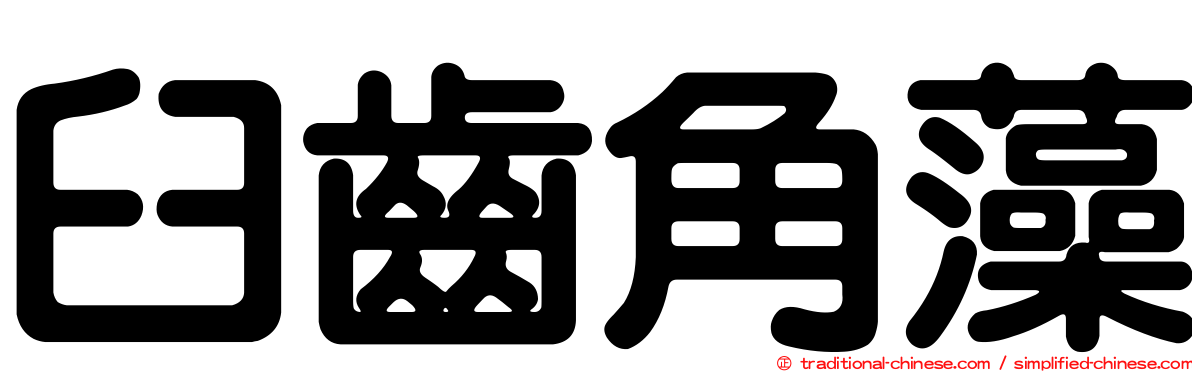 臼齒角藻