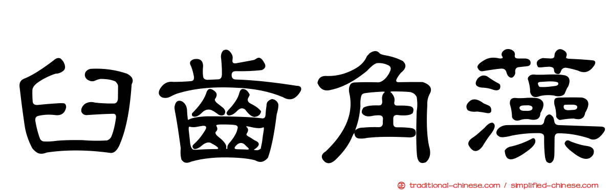 臼齒角藻