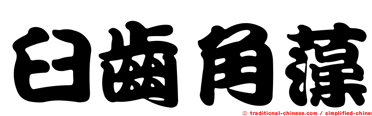 臼齒角藻