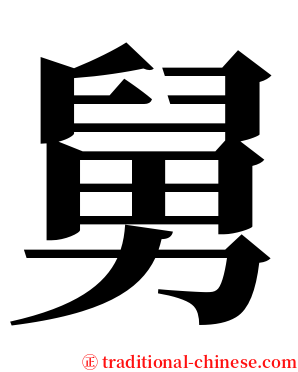 舅 serif font