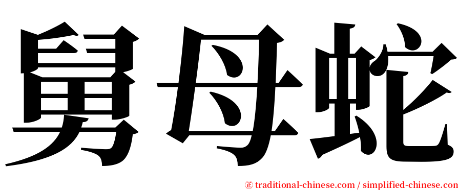 舅母蛇 serif font