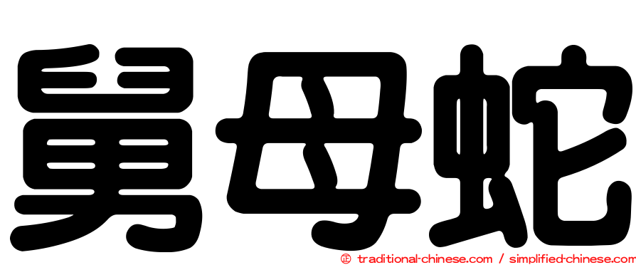 舅母蛇