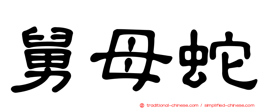 舅母蛇