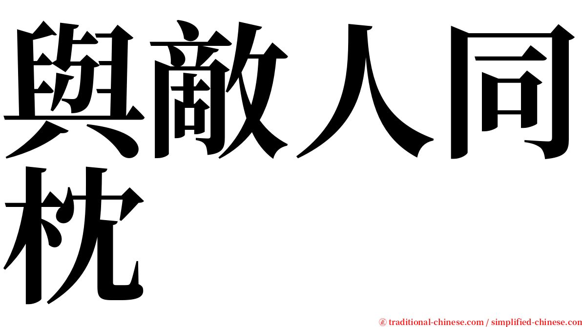 與敵人同枕 serif font