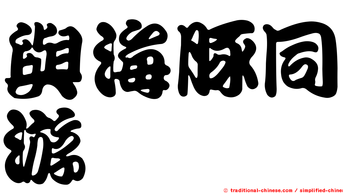 與海豚同游