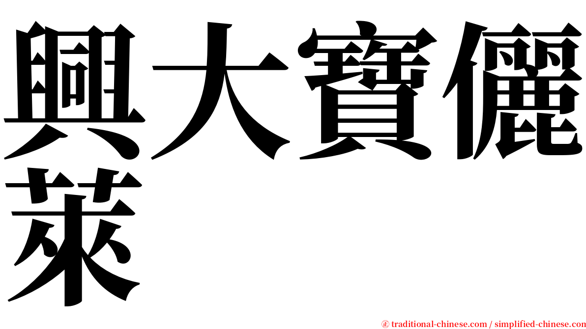 興大寶儷萊 serif font