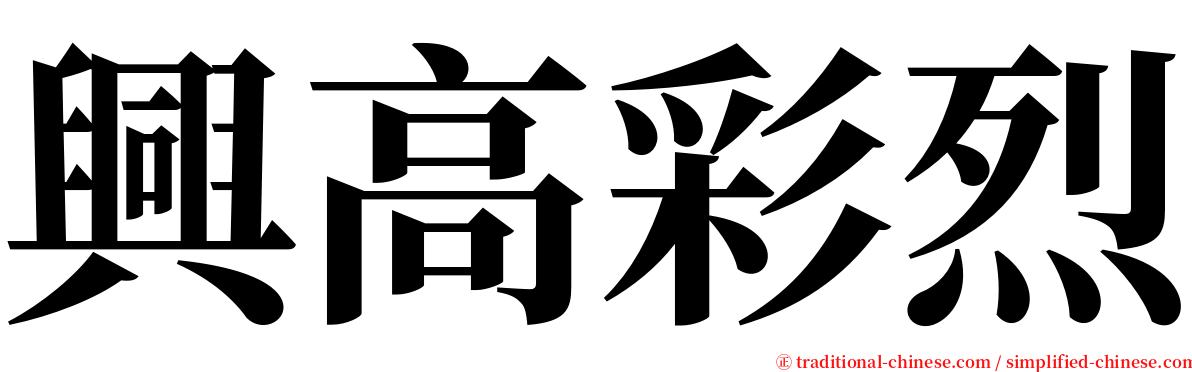 興高彩烈 serif font