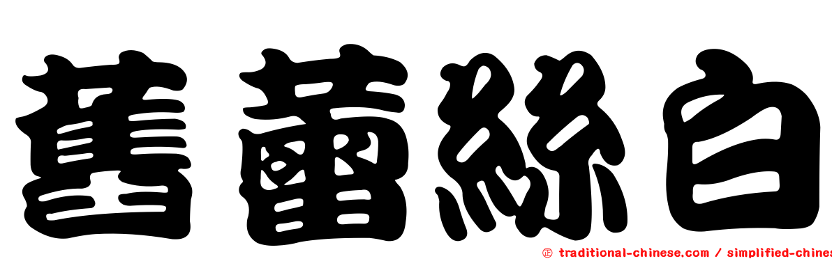 舊蕾絲白