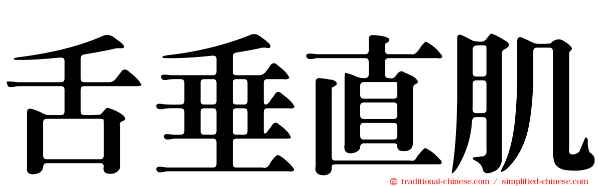 舌垂直肌