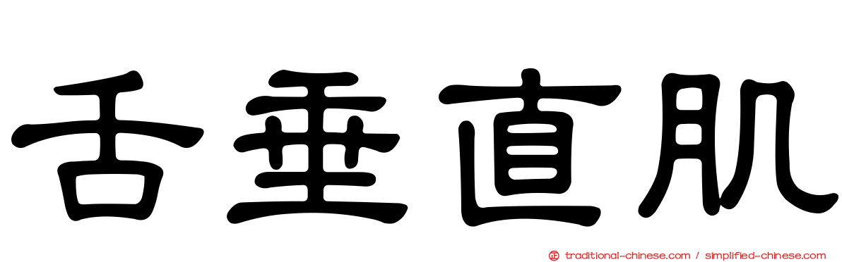 舌垂直肌