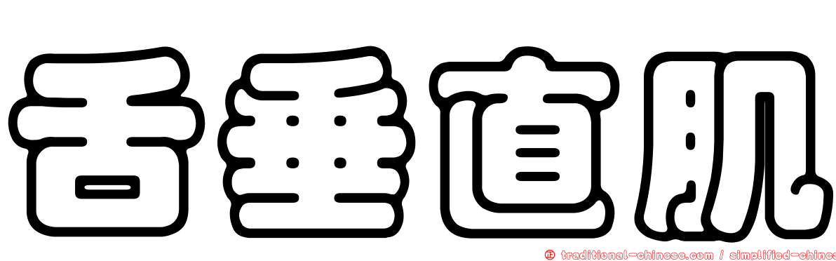 舌垂直肌
