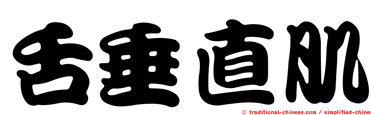 舌垂直肌