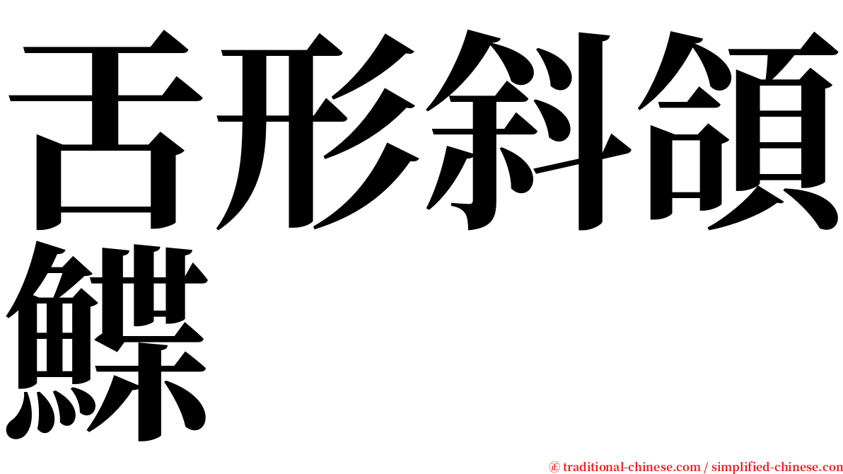 舌形斜頜鰈 serif font