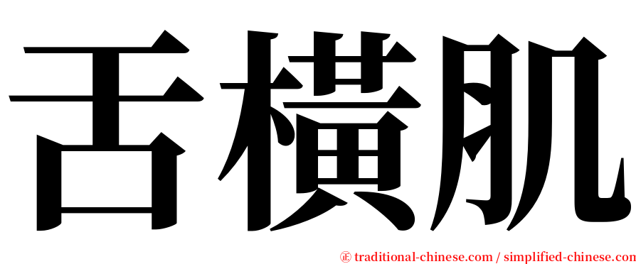 舌橫肌 serif font